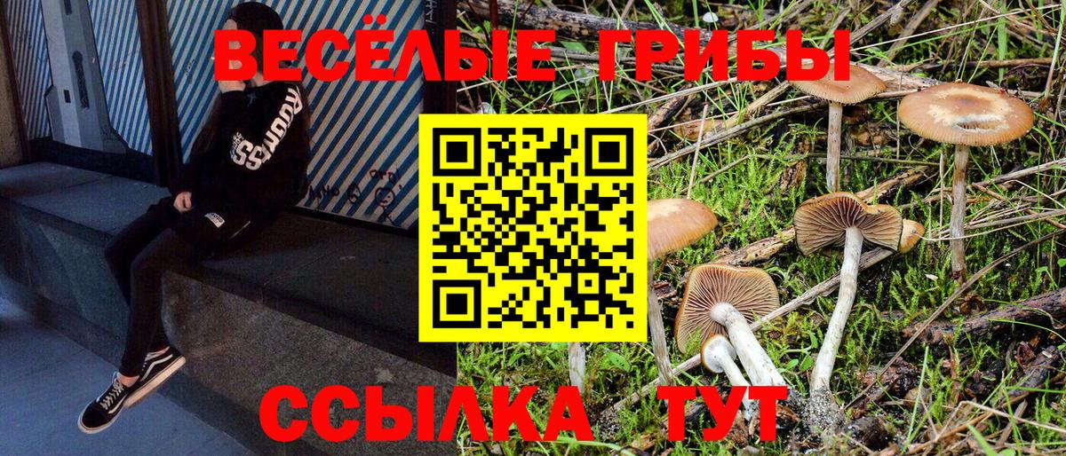 Галлюциногенные грибы ЛСД Старая Купавна